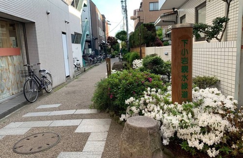 Minamikoiwa House | 9/122dk/