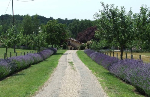 Le Bugue Cottage | 90m² house with garden and outdoor games - Périgord Noir, Le Bugue