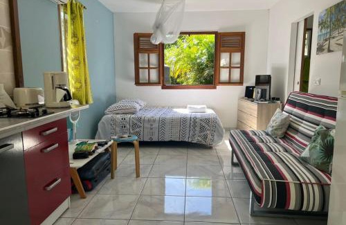 Saint-Charles Apartment | 971F2-Gîte Sud-Ô-Naturel "Mangue'Divine" pool view