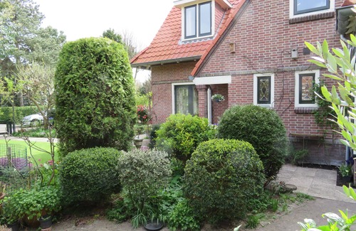 Vogelwijk House | A 13-minute walk from the beach, semi-detached cottage in a quiet neighborhood.