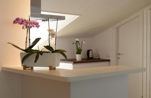 Ricco del Golfo Apartment | A 48 passi dalle 5 Terre