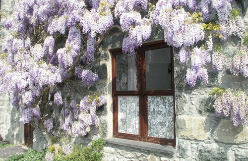 Conwy Cottage | A Beautiful Cosy Cottage On The Edge Of Snowdonia National Park