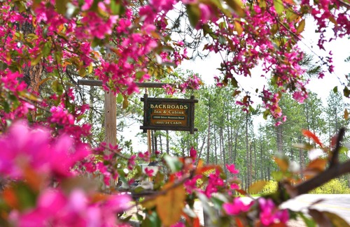 Keystone Cabin | A beautiful one bedroom cabin minutes from Rushmore