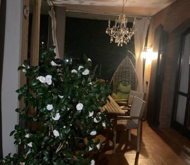 Medicina House | A CASA DI TERE