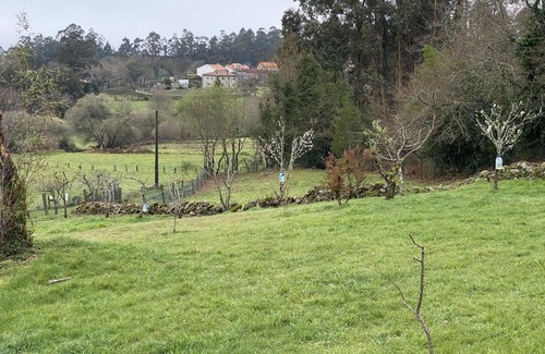 Campo Lameiro Villa | A Casa do Portal Castriño