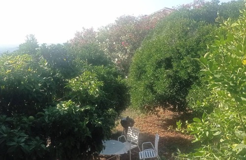 Valle-de-Campoloro Bed & Breakfast | A Caserella - Bed and Breakfast "Canari " in village house with garden at 300 m altitude