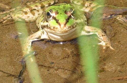 Pensol Cottage | A charming rural gite for up to 2 people, 20 acres of grounds, wifi, by a river.