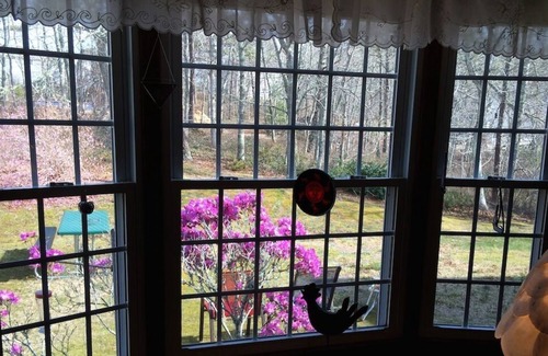 Orleans House | A comfortable house in a quiet neighborhood, but close to EVERYTHING Cape Cod.