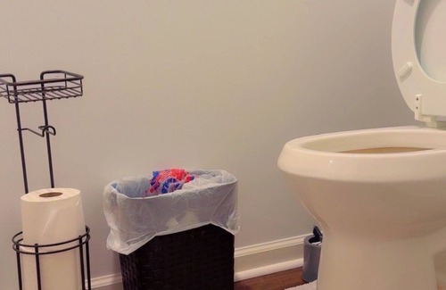 Norcross House | A comfy Unique 1-bedroom with WiFi, T.V and jack & jill bathroom