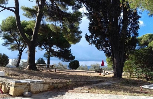 Imperia House | A confortable nest, guarded by a big lebanon cedar tree,