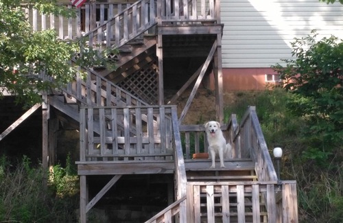 Cave Spring House | A cosy, quiet cabin with a hillop water view.
