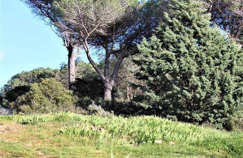 Bizanet Cottage | A cottage SENTEURS DE GARRIGUE offers peace and quiet in a corner of nature