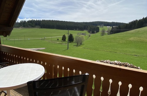 Schollach Apartment | A cozy apartment in the idyllic Black Forest