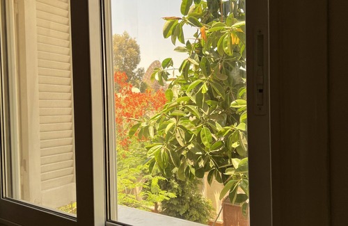 Maadi Apartment | a cozy warm and clean apartment in a residential green area.
