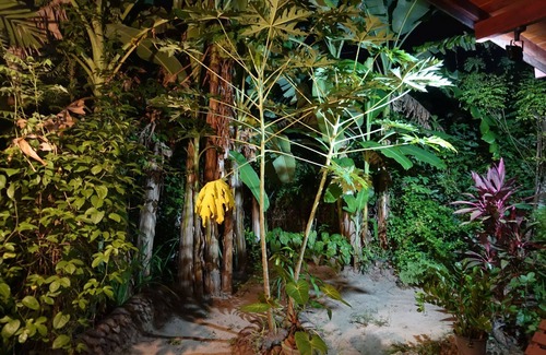 Koggala Apartment | A dream holiday with a view of the diversity of nature