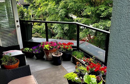 Kitsilano Apartment | A fantastic, quiet, south facing sunny 1 bedroom apartment in Kits, Vancouvernnn