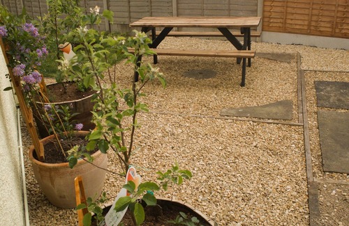Lydney Cottage | A Forest Cottage at the centre of woodlands bike trails and much more.