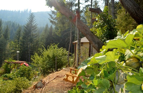 Gasquet Cabin | A-Frame, Off-Grid, Rustic Cabin