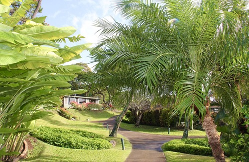 Kaanapali Cottage | A GEM IN THE MIDDLE OF THE PACIFIC - OCEAN VIEW - KAANAPALI