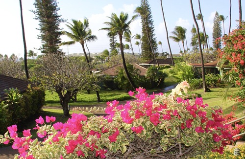Kaanapali Cottage | A GEM IN THE MIDDLE OF THE PACIFIC - OCEAN VIEW - KAANAPALI