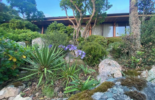 Pietrosella House | A house among the trees