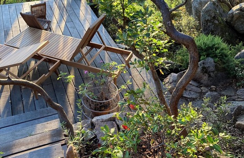 Pietrosella House | A house among the trees