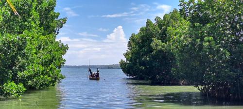 Munroe Island House | A K Munroe Homestay