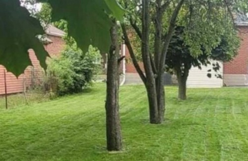 Durham Region House | A little 5 Stars Living in Oshawa just second to 401, minute to Oshawa Mall.