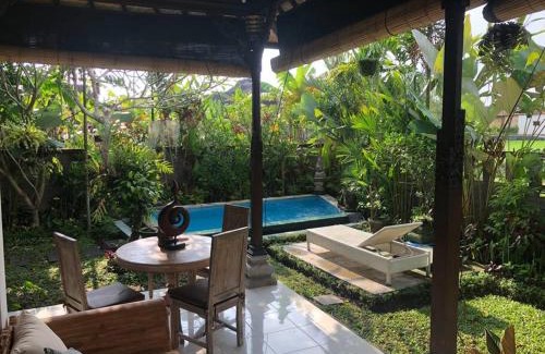 Ubud Villa | A Lush Tropical Villa in Ubud Rice Fields