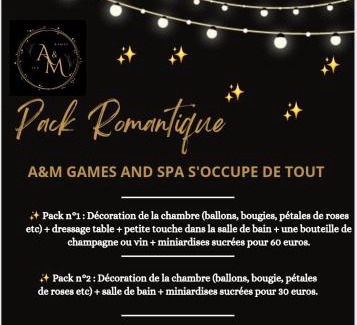 Charleville-Mezieres Apartment | A&M Games and spa