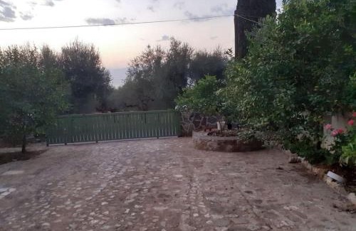 Trapeza House | A modern farmhouse with big garden