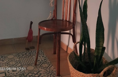 Punta del Hidalgo House | A paradise in Tenerife