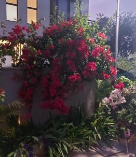Kolkata Villa | A perfect place to be in nature