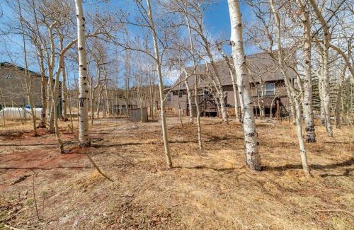 Fairplay House | A Private and Relaxing Home Nestled in an Aspen Grove - Heart of the Aspens