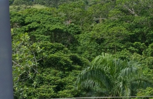 Las Terrenas Condo | A Private Oasis in Las Terrenas with Rooftop Relaxing, Dining, or Star Gazing