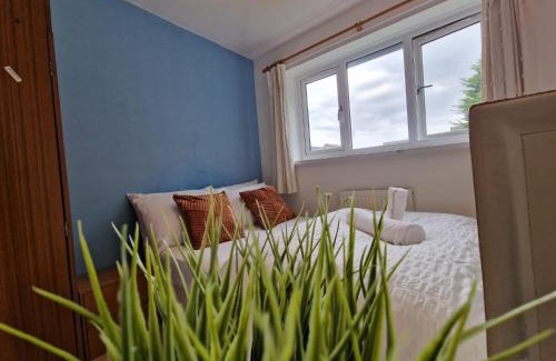 Rugby House | A spare room in a quite cul de sac