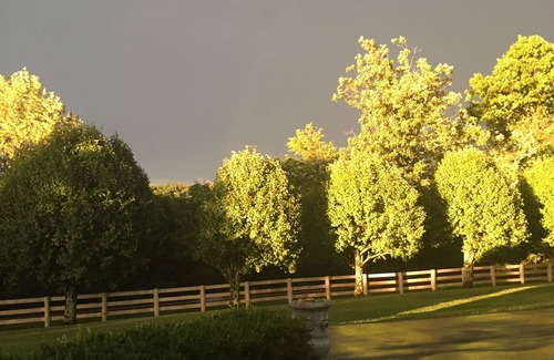 Waneta Cabin | A Taste of Southern Comfort