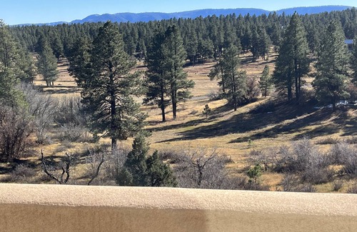 Pagosa Springs House | A touch of comfort hidden in the mountains 036190
