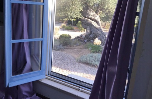 Lagoa e Carvoeiro Villa | A touch of Provence in the Algarve - exclusive rustic villa on large property