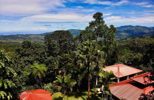 Baru House | A tranquil Balinese-inspired jungle oasis