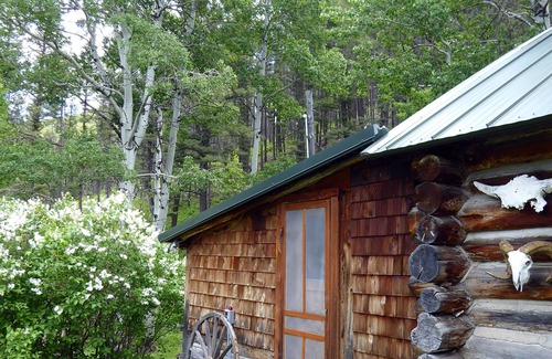 Helena Cabin | A True Montana Lodging Experience!