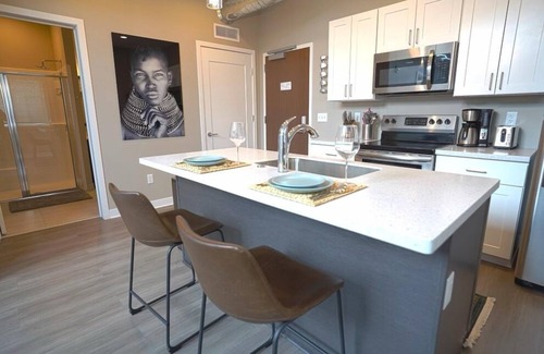 Downtown Rochester Apartment | A unique lofty and bright 1 bedroom
