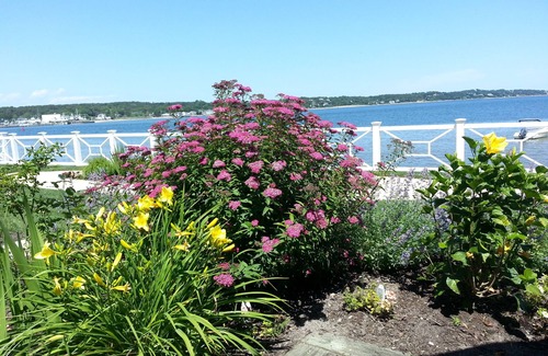 Hampton Bays Condo | A Unique Piece of Paradise, Water Front pool on Shinnecock Bay
