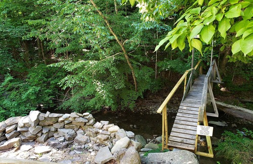 Long Eddy House | A Water and Nature Lovers Perfect Getaway!