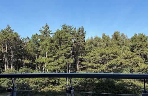 Sahlenburg Apartment | A2.3 - Comfortable vacation apartment, close to the beach for up to 7 people