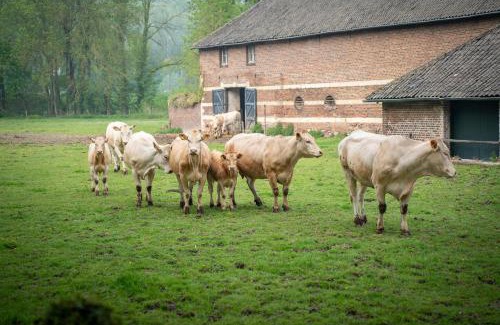 Municipality of Gulpen-Wittem House | Aan 't Laantje