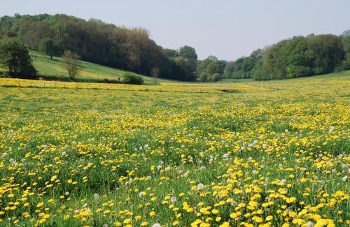 Beutenaken Apartment | AanHetGroteBos