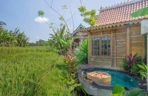 Peliatan House | Abian Ubud View