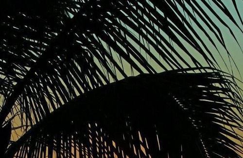 Ixtapa Villa | Absolute Relaxation, Spacious 3 BR, 3 Bath Villa/Tesoro Resort