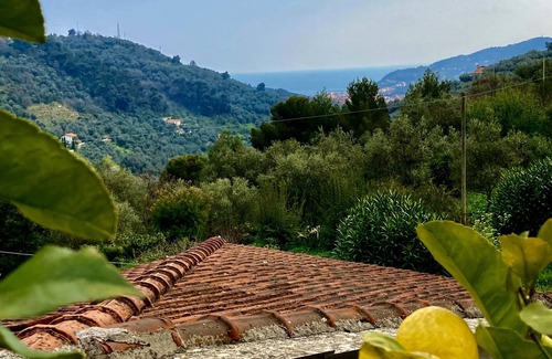 Diano San Pietro House | Absolute Ruhe im Olivenhain